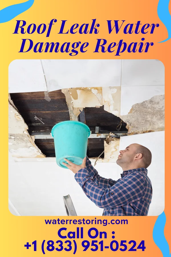 Roof Leak Water Damage Repair in Midway, TX