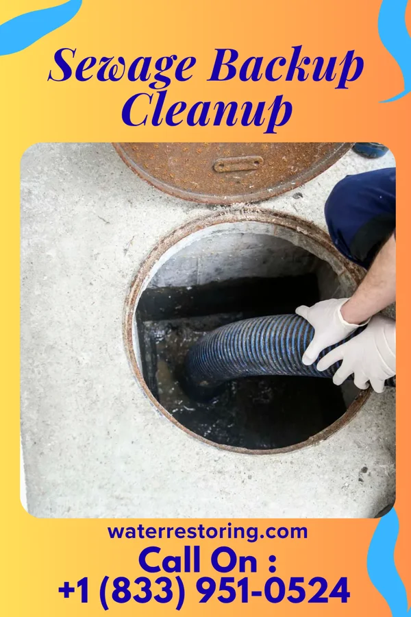 Sewage Backup Cleanup in Midway, TX